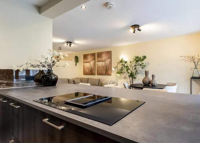 Gloednieuw En Prachtig Ingericht 3persoons